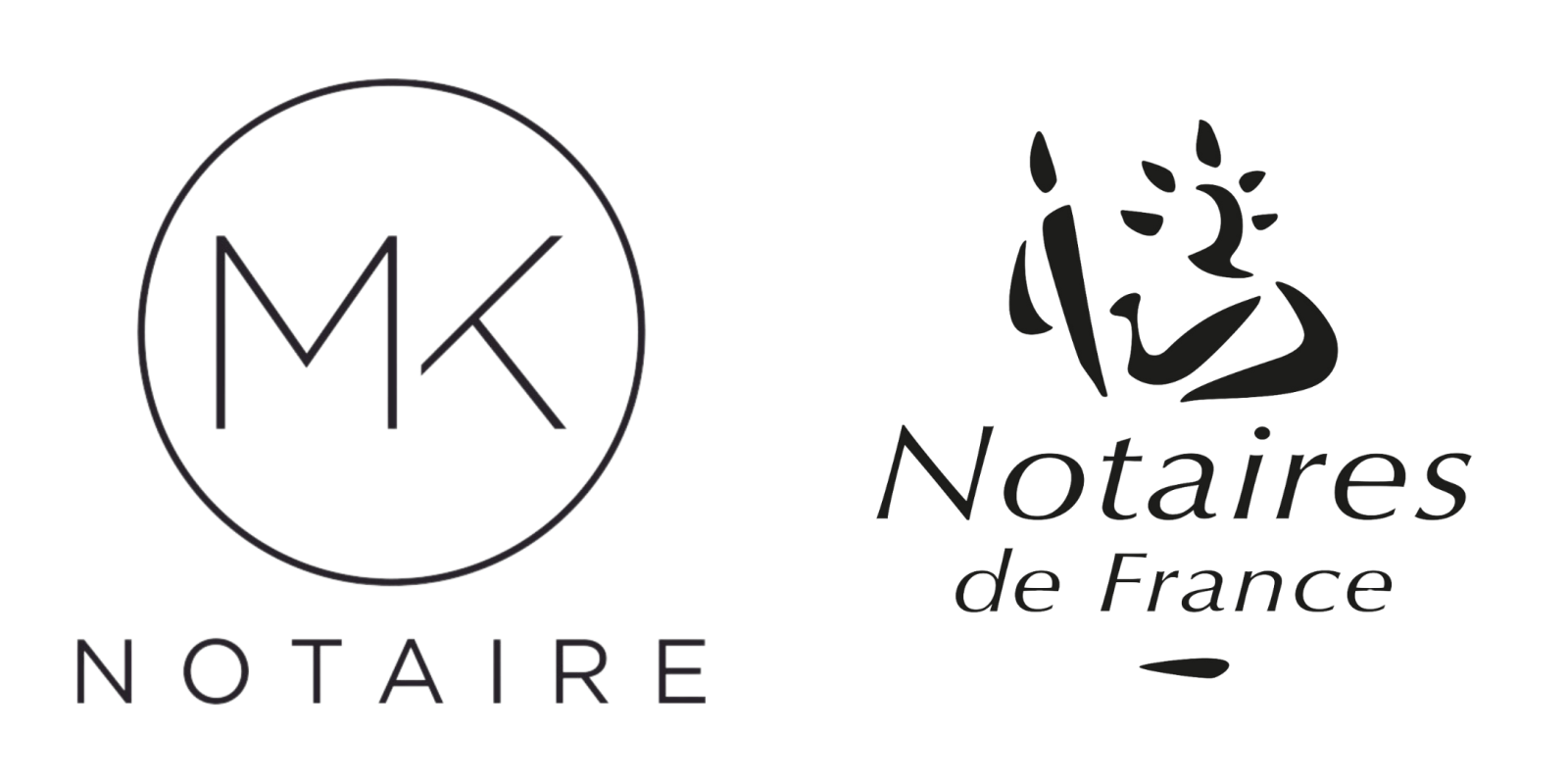 Logo minisite